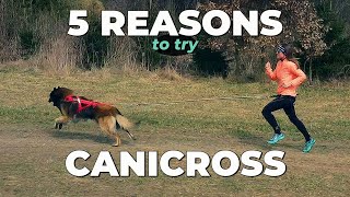 Canicross  5 Reasons Why You Should Run With Your Dog [upl. by Llien50]