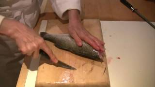 How to scale gut and fillet a fish [upl. by Tymes]