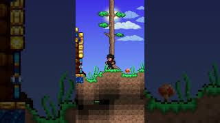 TODAS LAS ALAS DE TERRARIA  Alas de Polluelo terraria TuToAmer [upl. by Flor461]