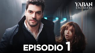 Yaban Çiçekleri  Episodio 1 Sottotitolato in italiano [upl. by Etiuqram]