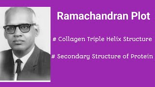 RAMACHANDRAN PLOT COLLAGEN HELIX collagen protein [upl. by Ayekam204]