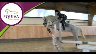 EQUIVANachwuchstraining Springreiten  Training auf ANiveau [upl. by Coltun148]