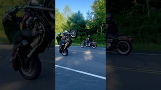 17 Sportster 1200 XL Custom WHEELIE with FORWARD CONTROLS🫣subscribe 2024 stunt fyp short [upl. by Ailedamla717]