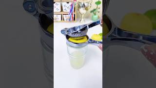 Lemon Squeezer  Easy Citrus Juicer smartutensiles kitchenhacks [upl. by Emirak]