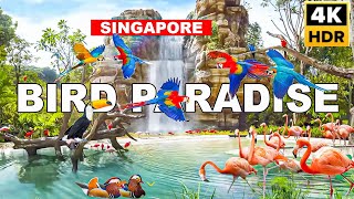 Newly Opened Singapore World Class Bird Paradise Full Tour 🇸🇬🦜🦩🐥 [upl. by Dylan]