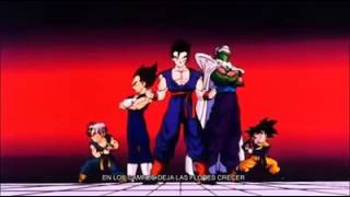 Dragon ball z cancion [upl. by Aron]