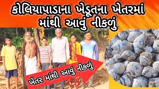 jhagadia ઝઘડિયા તાલુકાના માંડવી ગામે એક ખેતરમાંથી મોટી સંખ્યામાં શંખ નીકળ્યા‎jhagadiaNews [upl. by Yk]