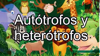 Autótrofos y heterótrofos Canal Nivel de Primaria [upl. by Valtin918]