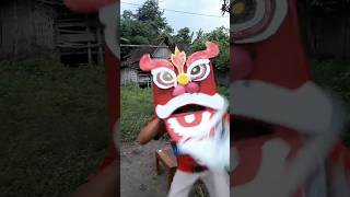 Barongsai dari kardus barongsai diy mainan [upl. by Mill287]