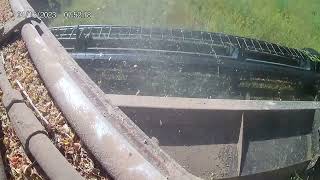 Cutting alfalfa hay with a Case 2470 tractor and a Mac Don swather [upl. by Nellie258]