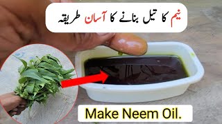 Neem oil banane ka tarika  Make neem oil just in 5 minutes [upl. by Nyloc988]