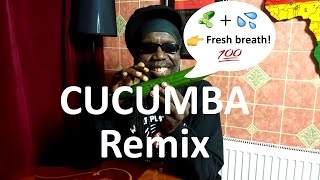 Cucumba Remix feat Macka B by KimboBeatz  Jamaican Cucumber Song [upl. by Kcaj]