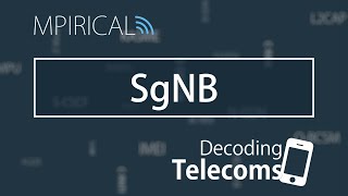 SgNB  Decoding Telecoms [upl. by Yrem]