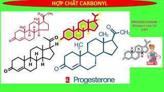 ALDEHYDE  KETONE  DANH PHÁP CÁC HỢP CHẤT TRONG SÁCH GIÁO KHOA CTSTKNTTCÁNH DIỀU  HÓA 11 MỚI [upl. by Napas]