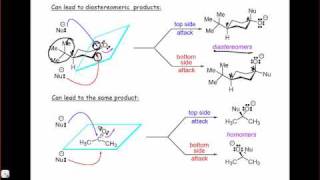 Stereotopic Relationships between Faces [upl. by Coit]