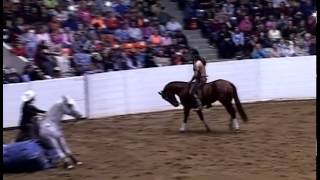 Dan James  2014 QH Congress Open Freestyle Run [upl. by Pinebrook]