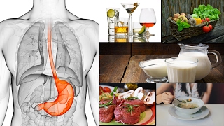 5 Amazing Foods You Can Eat When You Have Gastroparesis [upl. by Illak143]