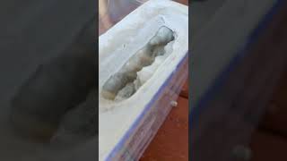 DIY fortressstyle ant formicarium with modifications [upl. by Anim]