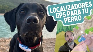 Localizador GPS para tu PERRO  ¿VALE LA PENA [upl. by Aniraad279]