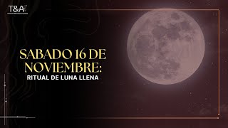 Ceremonia con la luna llena Exclusiva VIP Sábado 16 de noviembre [upl. by Ayvid]