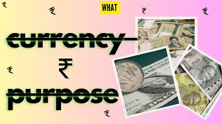 What is Currency used for The Purpose of Money Explained [upl. by Aliemaj]