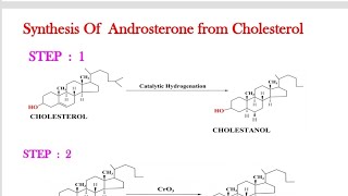 STRUCTURE ELUCIDATION OF ANDROSTERONEANDROSTERONE [upl. by Nirraj]