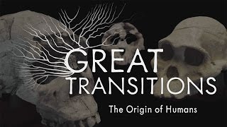 Great Transitions The Origin of Humans — HHMI BioInteractive Video [upl. by Aicitel]