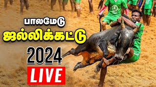 🔴பாலமேடு ஜல்லிக்கட்டு நேரலை  Jallikattu Live 2024  Palamedu [upl. by Egief218]