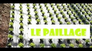 Comment faire le paillage en agriculture [upl. by Atilef650]