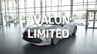 2020 Toyota Avalon Limited  Walkaround [upl. by Gerdeen]