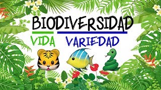 🌿 ¿Qué es la BIODIVERSIDAD 🐝 Fácil y Rápido  BIOLOGÍA [upl. by Paschasia]