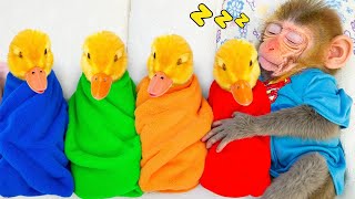 Bebe Mono BonBon duerme con el patito y rescata a sus amigos del agujero  MONO BONBON ESP [upl. by Fe]