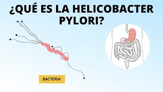 ¿Qué es la helicobacter pylori [upl. by Odnanref]