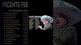 VICENTE FERNANDEZ MIX ROMANTICAS VIEJITAS PARA ADOLORIDOS LAS MEJORES RANCHERAS MEXICANAS [upl. by Anid136]