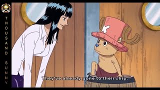 Chopper Nico Robin Moments [upl. by Aeht]