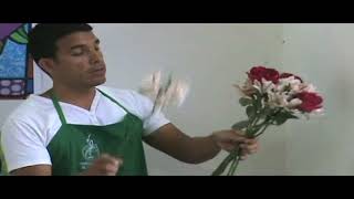 quotGRATISquot CURSO BASICO DE FLORISTERIA [upl. by Adekram200]