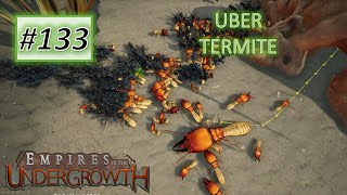 Empires of the Undergrowth 133 UBER Termite VS 3 Matabele ant colonies [upl. by Nevlin597]