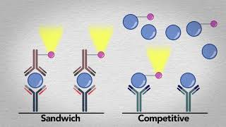 Quidel MicroVue Complement Multiplex Video [upl. by Ahtar]