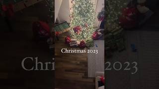 Our Christmas in one minute shorts merrychristmas christmas2023 [upl. by Enilrahc]