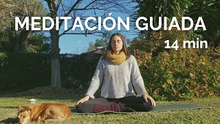 Meditación Guiada  14 minutos [upl. by Aldwon]