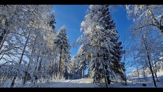 Un invierno cálido para escuchar Mi pueblo bajo la nieve Torsby SUECIA [upl. by Salamone572]