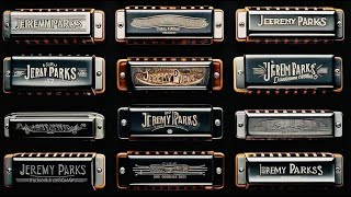 Harmonica Diatonic vs Chromatic Demystified by Jeremy Parks [upl. by Neerroc]