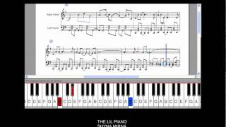 Bleach  Hanabi Piano Tutorial slow speed [upl. by Latricia]