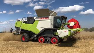 New Claas TRION TERRA TRAC 550 APS Walker combine harvesting wheat [upl. by Grannie210]