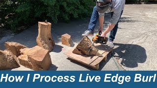 Processing Live Edge Burl for Resin Casting Stabilizing etc [upl. by Nnaid]