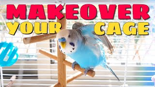 Setting Up Your Parakeets Cage [upl. by Setarcos]