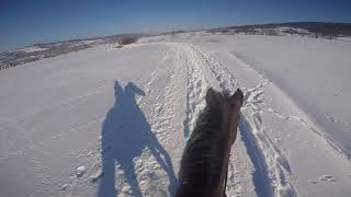 Schneeausritt mit GoPro ❄️ [upl. by Chrysler]