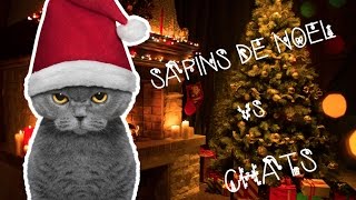 Sapins de Noël vs Chats [upl. by Adrahs]