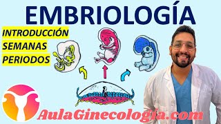 EMBRIOLOGÍA DE LA CONCEPCIÓN AL🤰🏻 NACIMIENTO🚼 Con FRANCO KELLY  Ginecología y Obstetricia [upl. by Ferree]