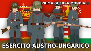 I Racconti degli ultimi combattenti della prima guerra mondiale 1 di 3 [upl. by Llehsal975]